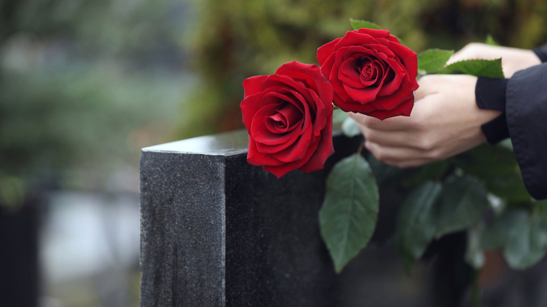 Woman with red roses near black granite tombstone outdoors, closeup. Funeral ceremony